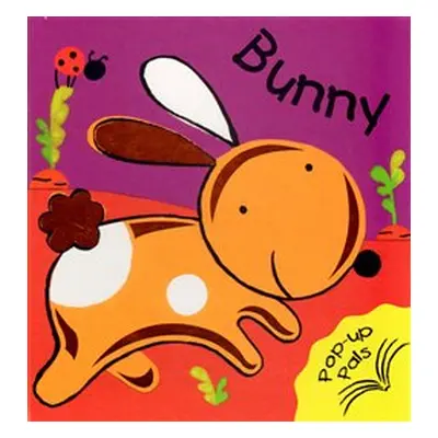 Bunny - Pop Up Book