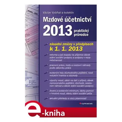 Mzdové účetnictví 2013 - Václav Vybíhal