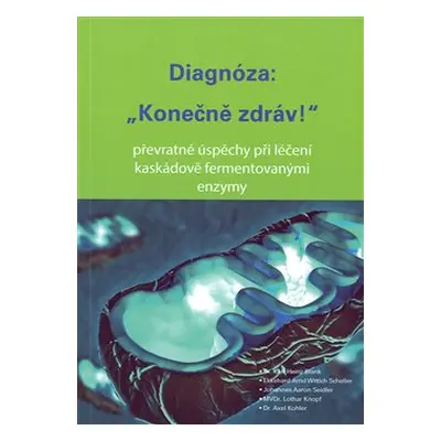 Diagnóza: "Konečně zdráv!" - Karl-Heinz Blank, kol.