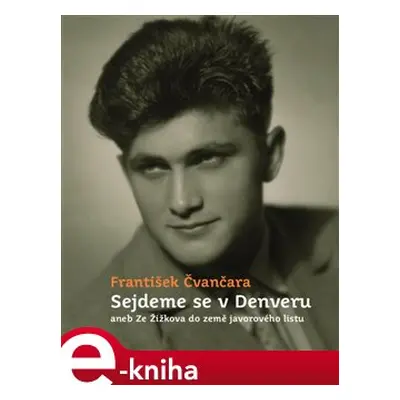 Sejdeme se v Denveru - František Čvančara