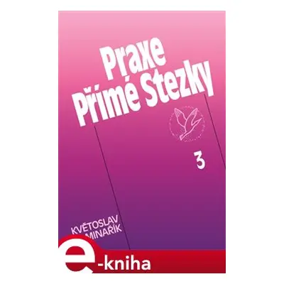 Praxe Přímé Stezky 3 - Květoslav Minařík