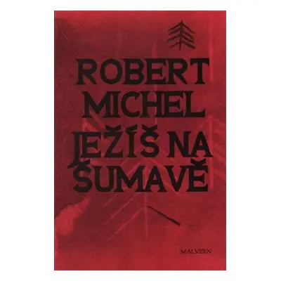 Ježíš na Šumavě - Robert Michel