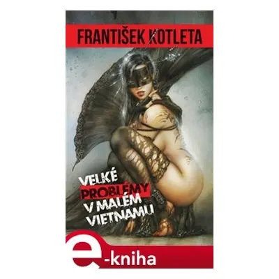 Velké problémy v malém Vietnamu - František Kotleta