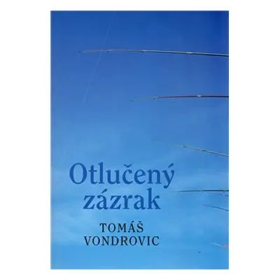 Otlučený zázrak - Tomáš Vondrovic