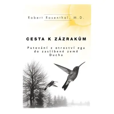 Cesta k zázrakům - Robert Rosenthal