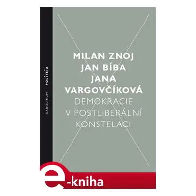 Demokracie v postliberální konstelaci - Milan Znoj, Jan Bíba, Jana Vargovčíková