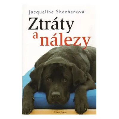 Ztráty a nálezy - Jacqueline Sheehanová