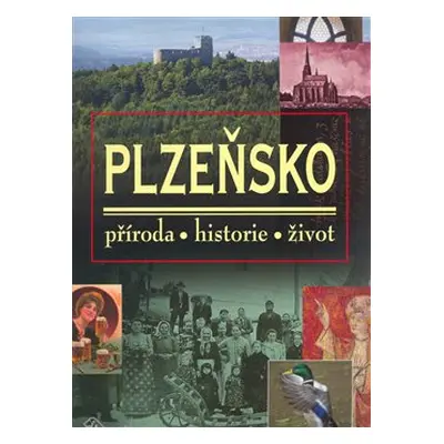 Plzeňsko - kolektiv