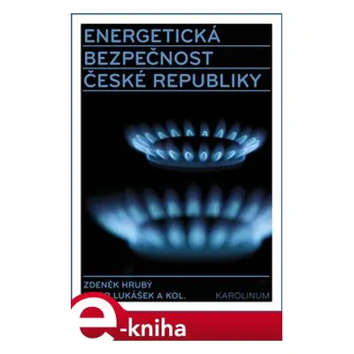 Energetická bezpečnost České republiky - Zdeněk Hrubý, Libor Lukášek, kol.