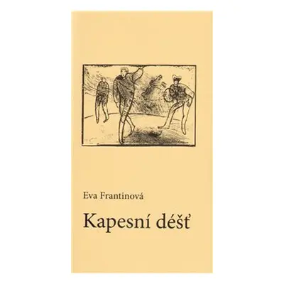 Kapesní déšť - Eva Frantinová