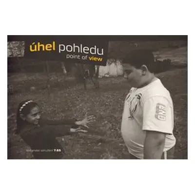 Úhel pohledu