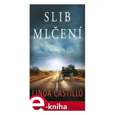 Slib mlčení - Linda Castillo