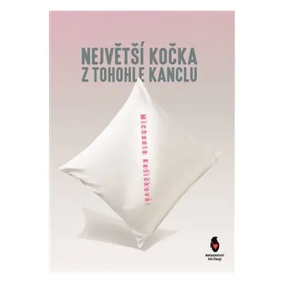 Největší kočka z tohohle kanclu - Michaela Kašičková