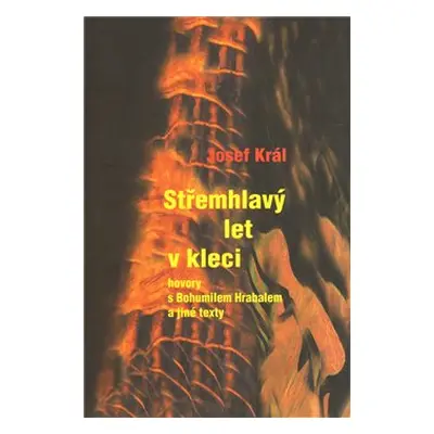 Střemhlavý let v kleci - Josef Král