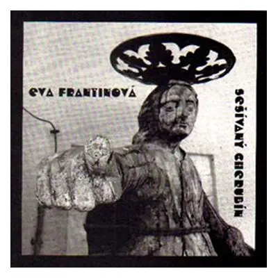 Sešívaný cherubín - Frantinová, Eva