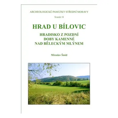 Hrad u Bílovic - Miroslav Šmíd