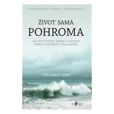 Život samá pohroma - Jon Kabat-Zinn