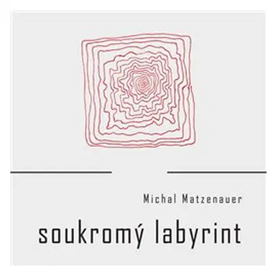 Soukromý labyrint - Michal Matzenauer