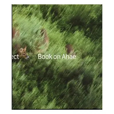 Book on Ahae - Milan Knížák