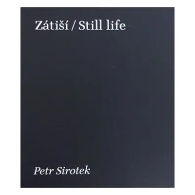 Zátiší / Still Life - Petr Sirotek