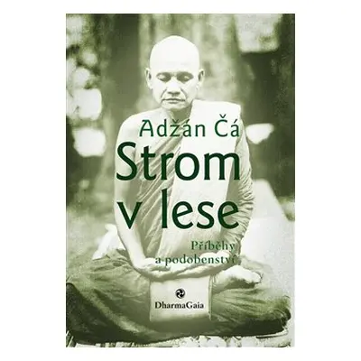 Strom v lese - Adžán Čá