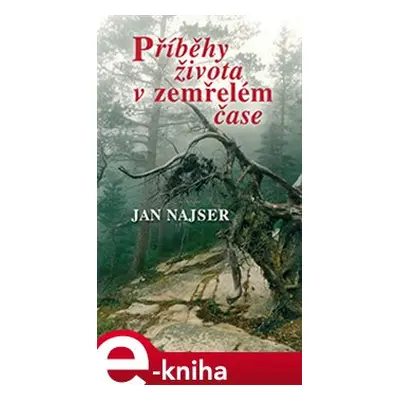 Příběhy života v zemřelém čase - Jan Najser