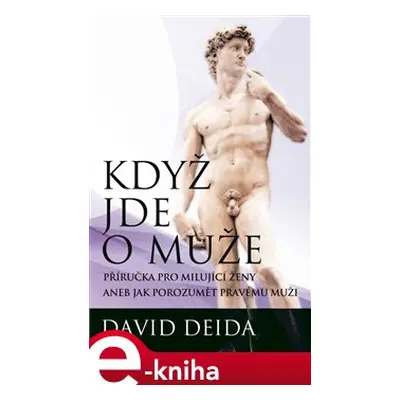 Když jde o muže - David Deida