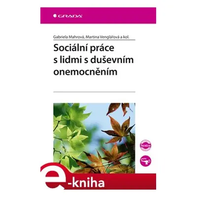 Sociální práce s lidmi s duševním onemocněním - Gabriela Mahrová, Martina Venglářová