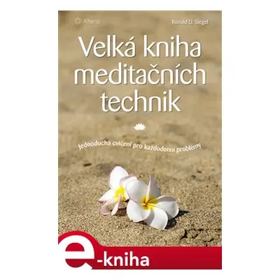 Velká kniha meditačních technik - Ronald D. Siegel