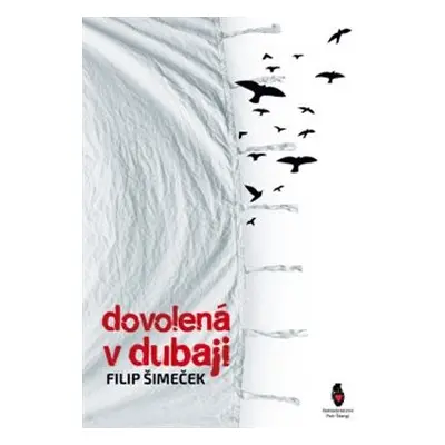 Dovolená v Dubaji - Filip Šimeček