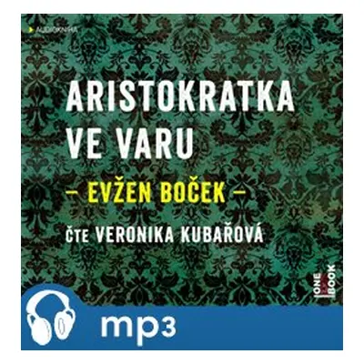 Aristokratka ve varu, mp3 - Evžen Boček