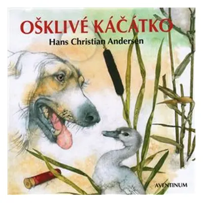 Ošklivé káčátko - Hans Christian Andersen