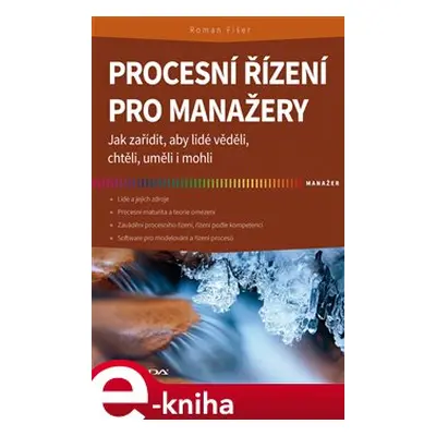 Procesní řízení pro manažery - Roman Fišer