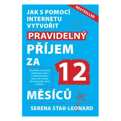 Pravidelný příjem za 12 měsíců