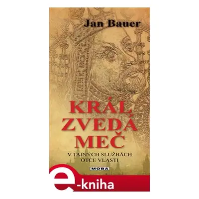 Král zvedá meč - Jan Bauer