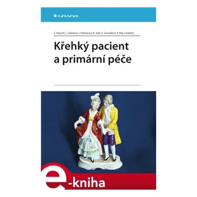 Křehký pacient a primární péče - Zdeněk Kalvach, Libuše Čeledová, Iva Holmerová, Roman Jirák