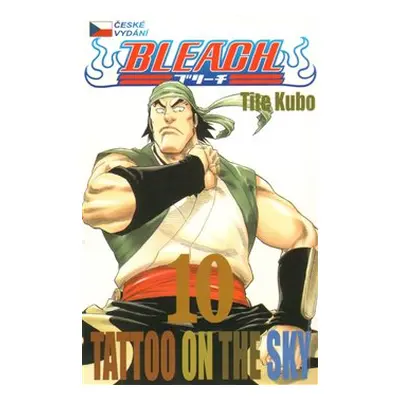 Bleach 10: Tattoo on the Sky - Tite Kubo