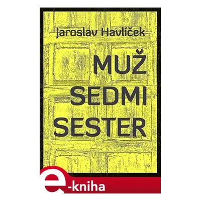 Muž sedmi sester - Jaroslav Havlíček