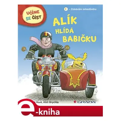 Alík hlídá babičku - Aleš Brychta, Roderick Hunt