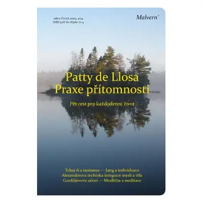 Praxe přítomnosti - Patty de Llosa