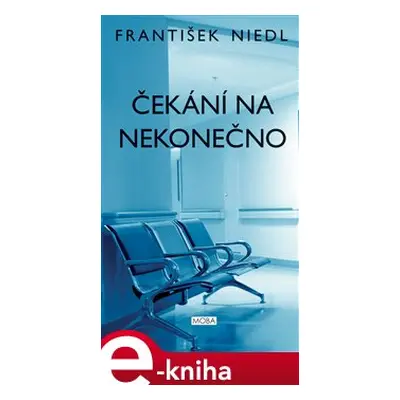 Čekání na nekonečno - František Niedl