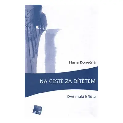 Na cestě za dítětem - Eva Konečná