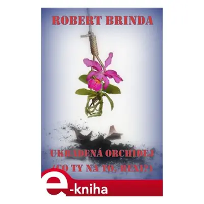 Ukradená orchidej - Robert Brinda