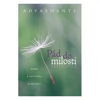 Pád do milosti - Adyashanti