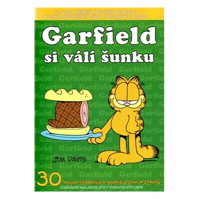 Garfield si válí šunku - Jim Davis