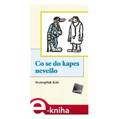 Co se do kapes nevešlo - Svatopluk Káš