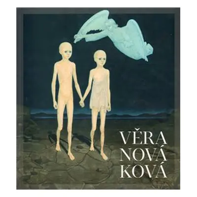 Věra Nováková – monografie - Pavla Pečinková, Richard Drury, Pavel Brázda