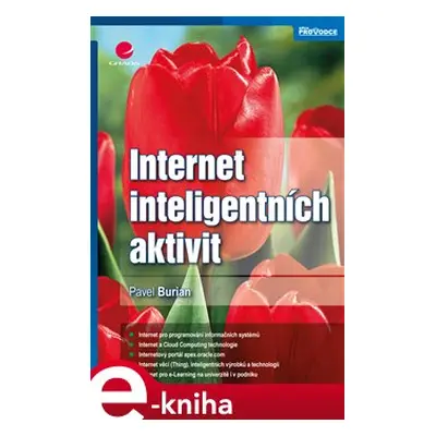 Internet inteligentních aktivit - Pavel Burian