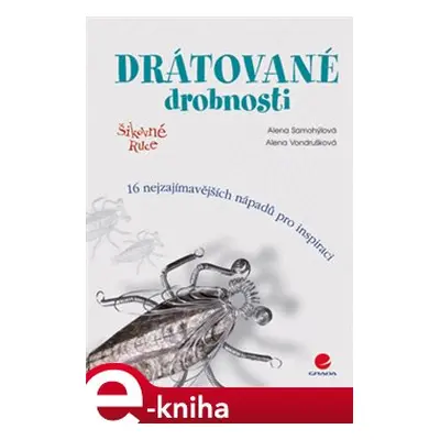 Drátované drobnosti - Alena Samohýlová, Alena Vondrušková