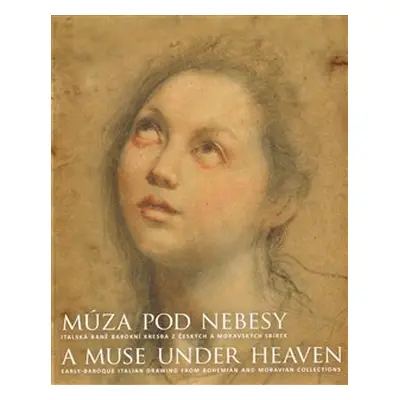 Múza pod nebesy